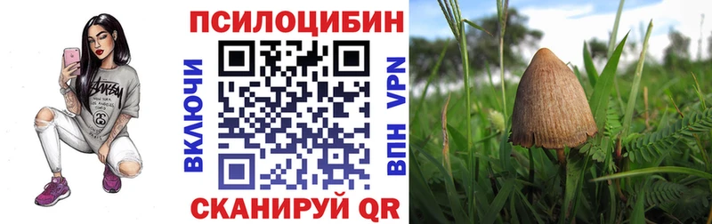 Галлюциногенные грибы Psilocybine cubensis  где найти наркотики  Мышкин 